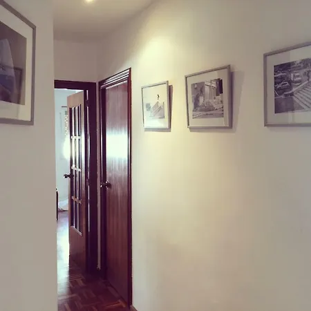 Rio Turia Skatehouse Walencja